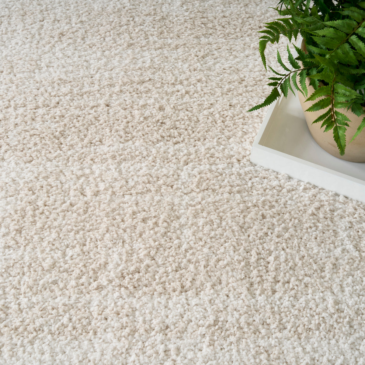 Modern Shag MMD04 Ivory Beige Rug