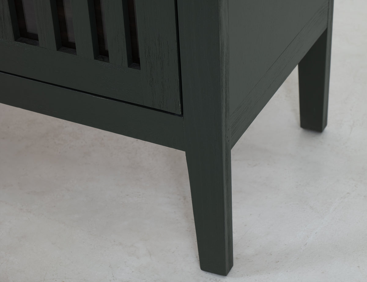 Autumn Console, Green, 2 Door, 1 Shelf, Cosole