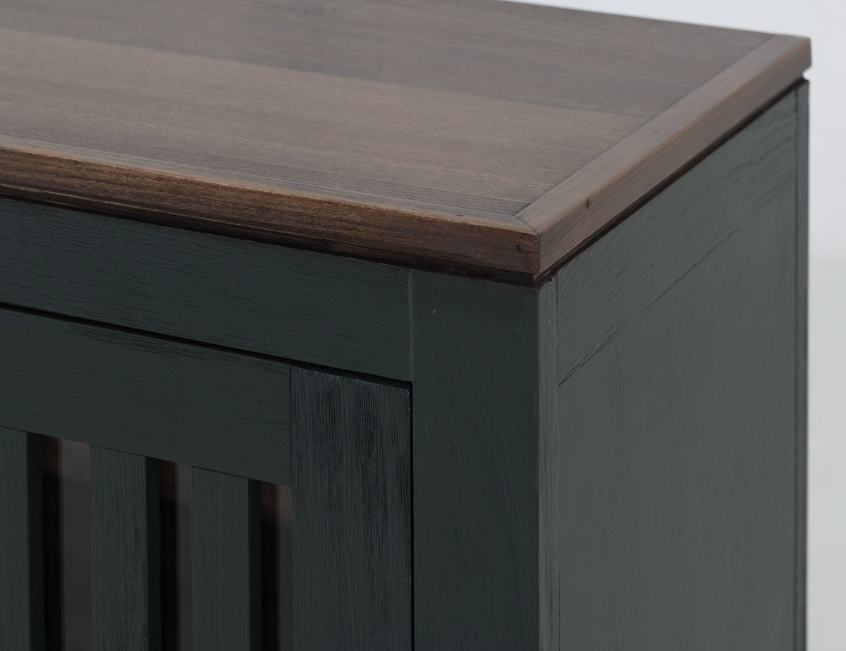 Autumn Console, Green, 2 Door, 1 Shelf, Cosole