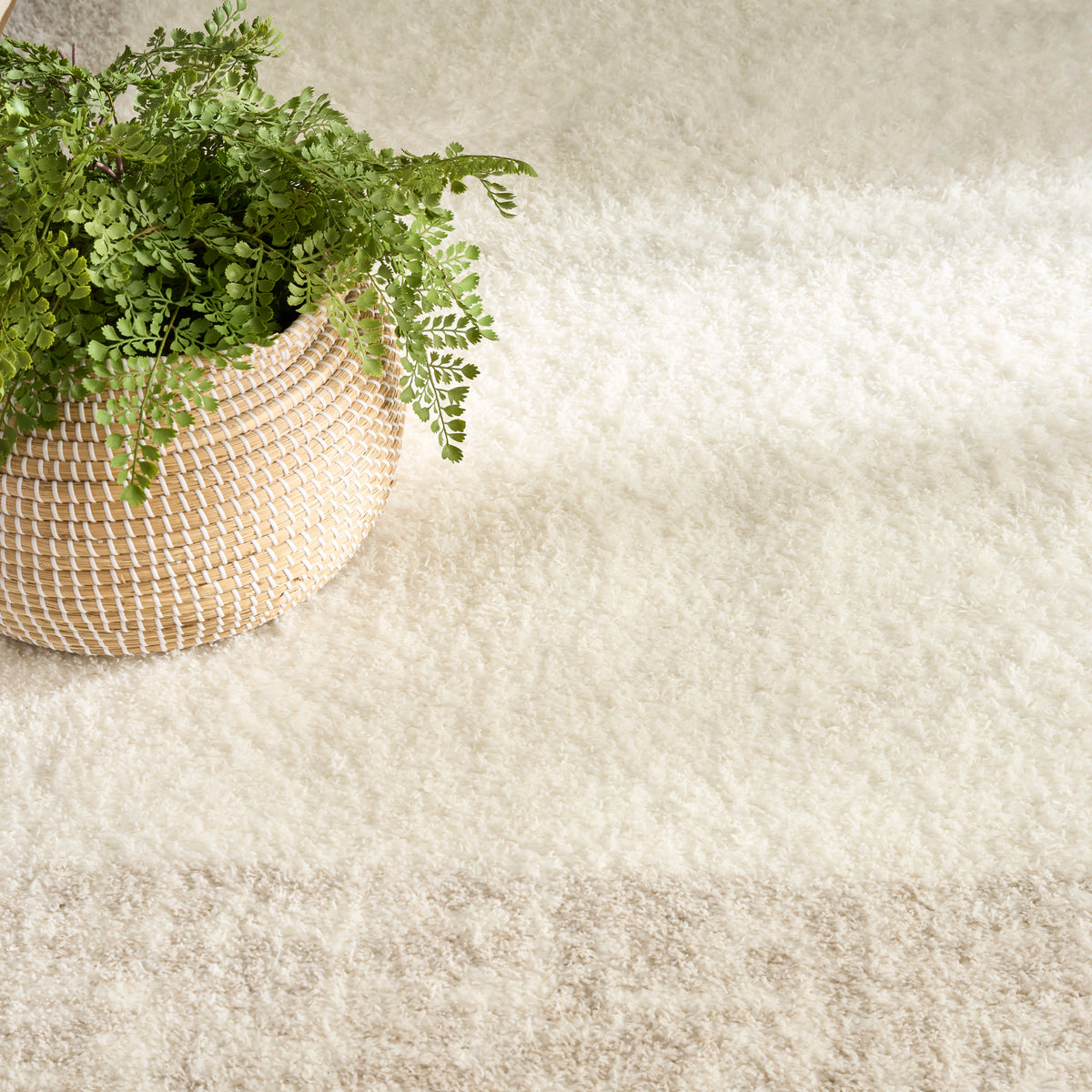 Pacific Shag PCS02 Ivory Beige Rug