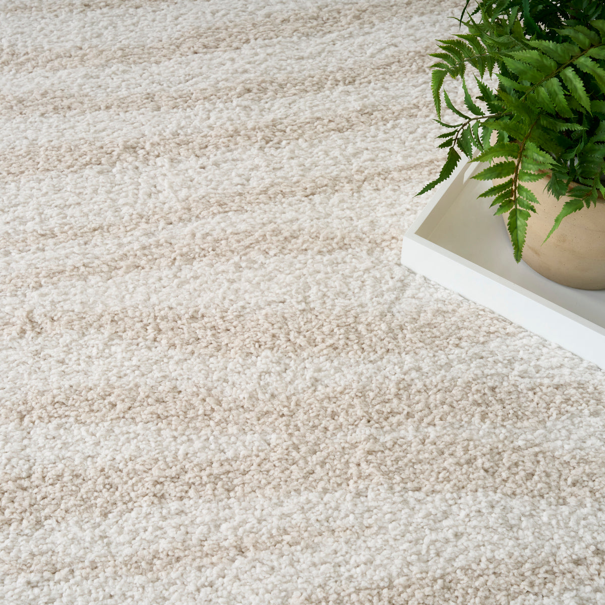 Modern Shag MMD05 Ivory Beige Rug