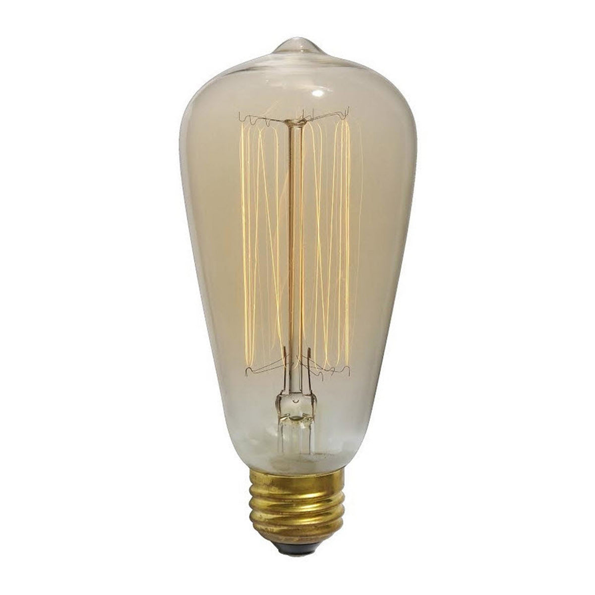 Lg Edison Bulb