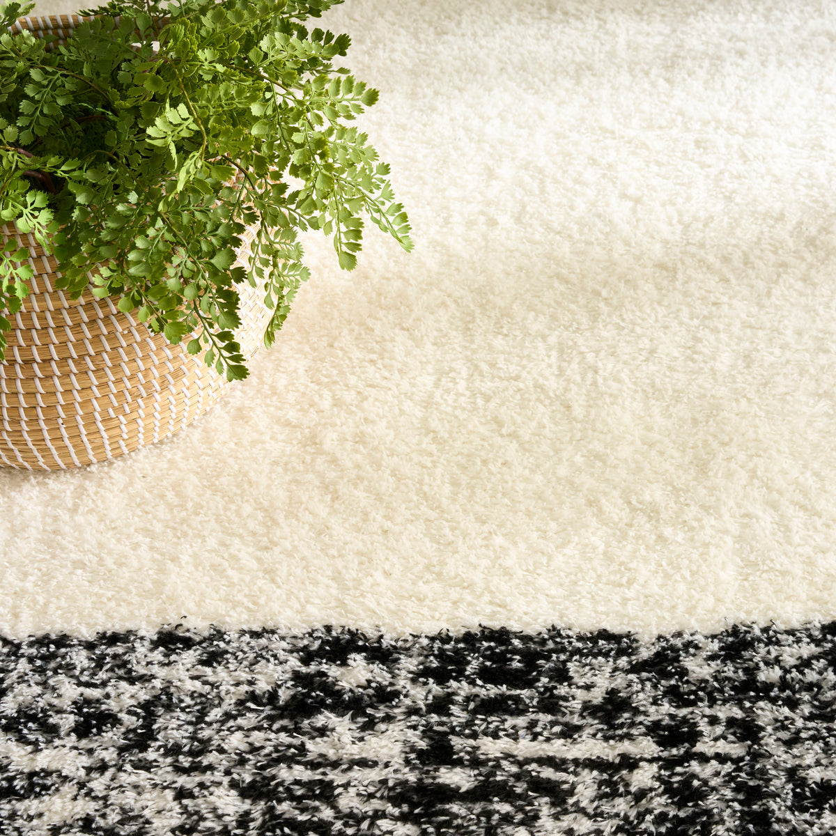 Pacific Shag PCS02 Ivory Black Rug