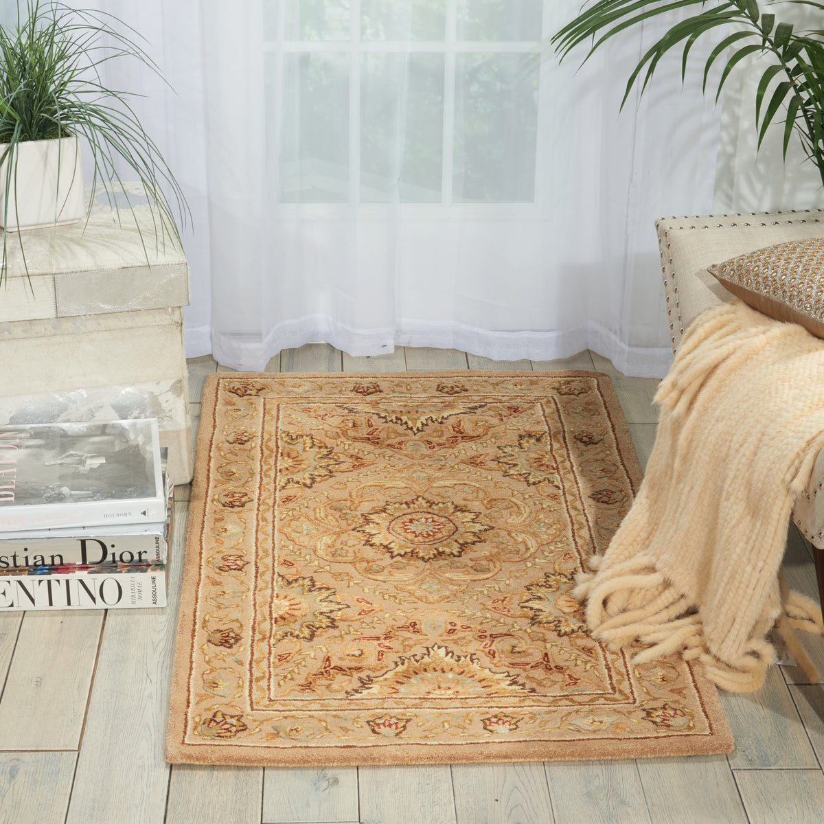 Nourison 3000 3108 Beige Rug