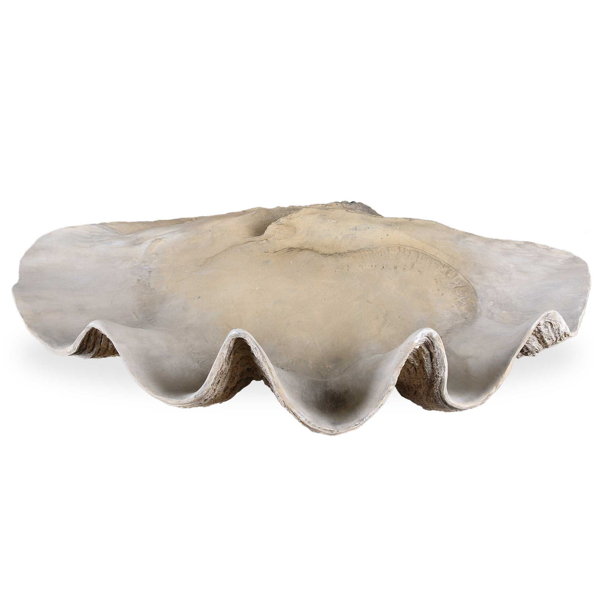 Clam Shell Bowl