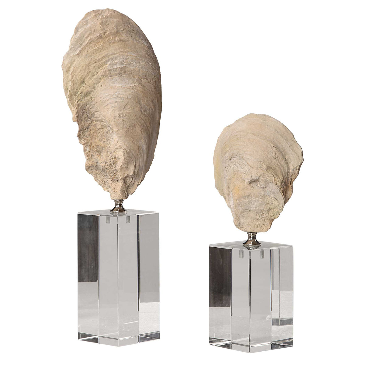 Oyster Shell Sculptures Set/2