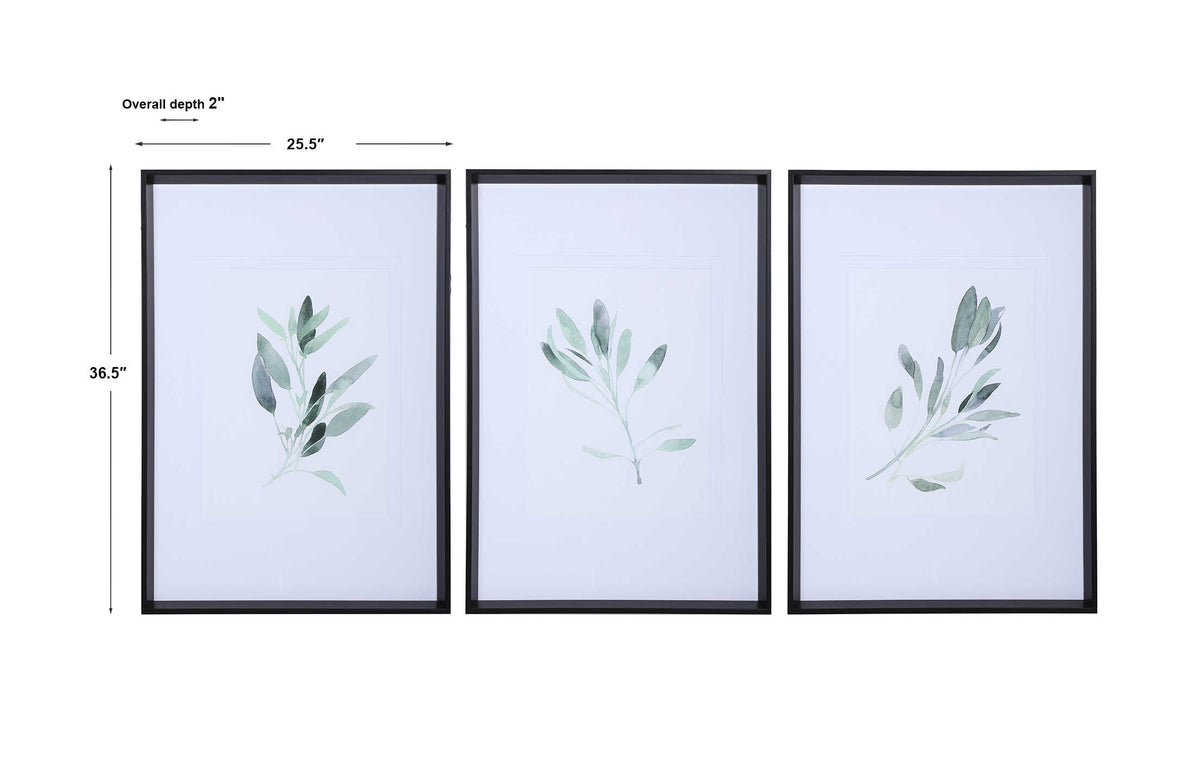 Simple Sage Watercolor Prints Set/3