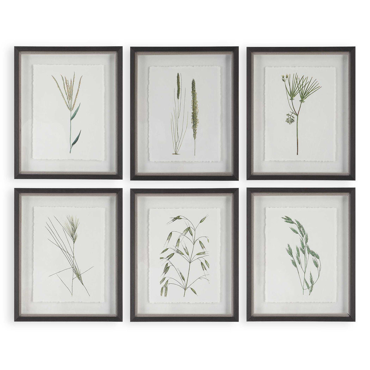 Forest Finds Framed Prints Set/6