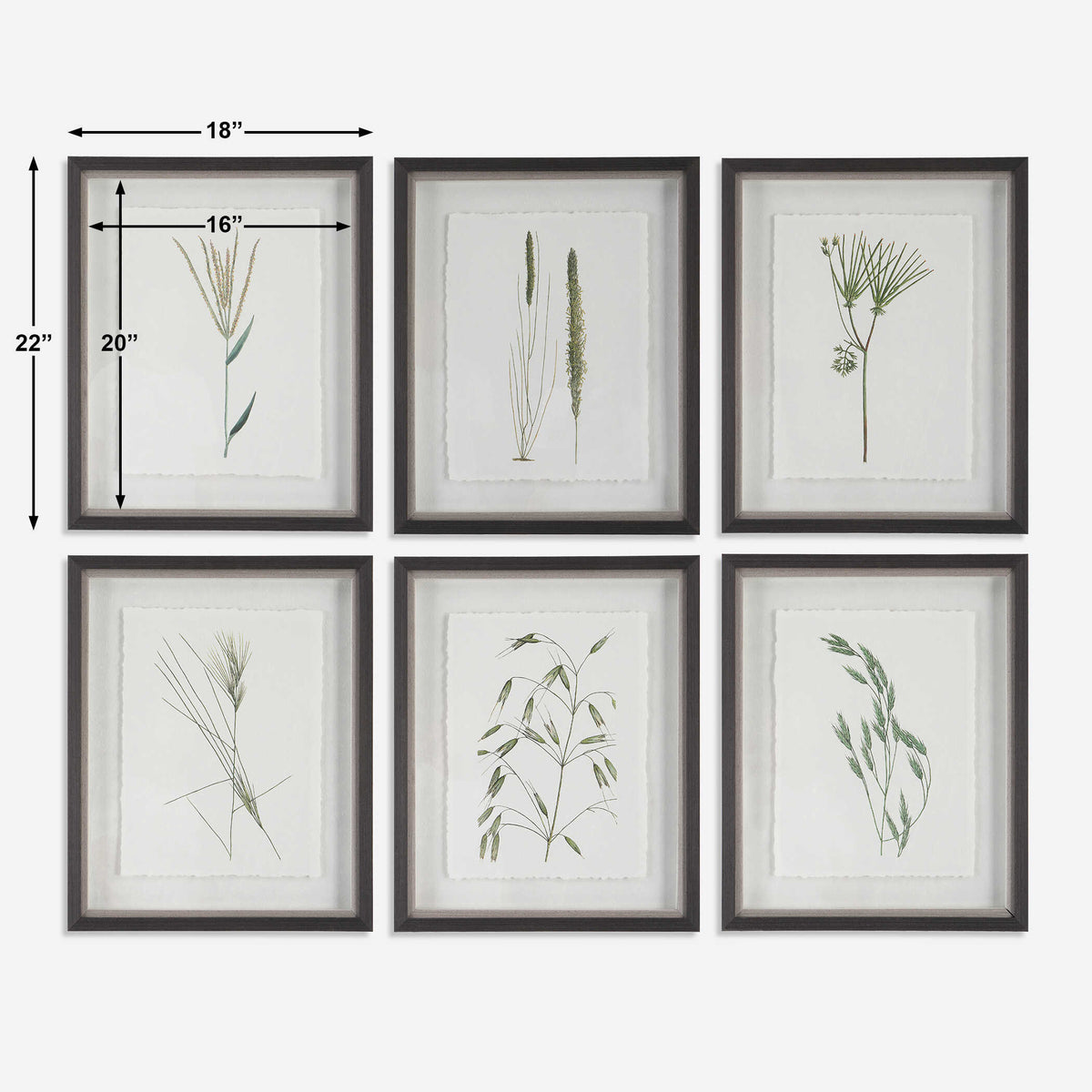 Forest Finds Framed Prints Set/6