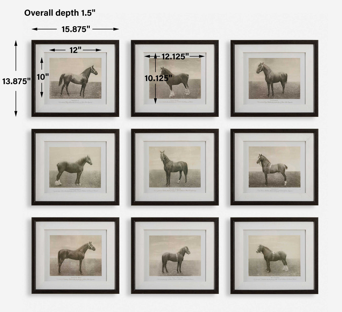 Equine Dynasty Framed Prints Set/9