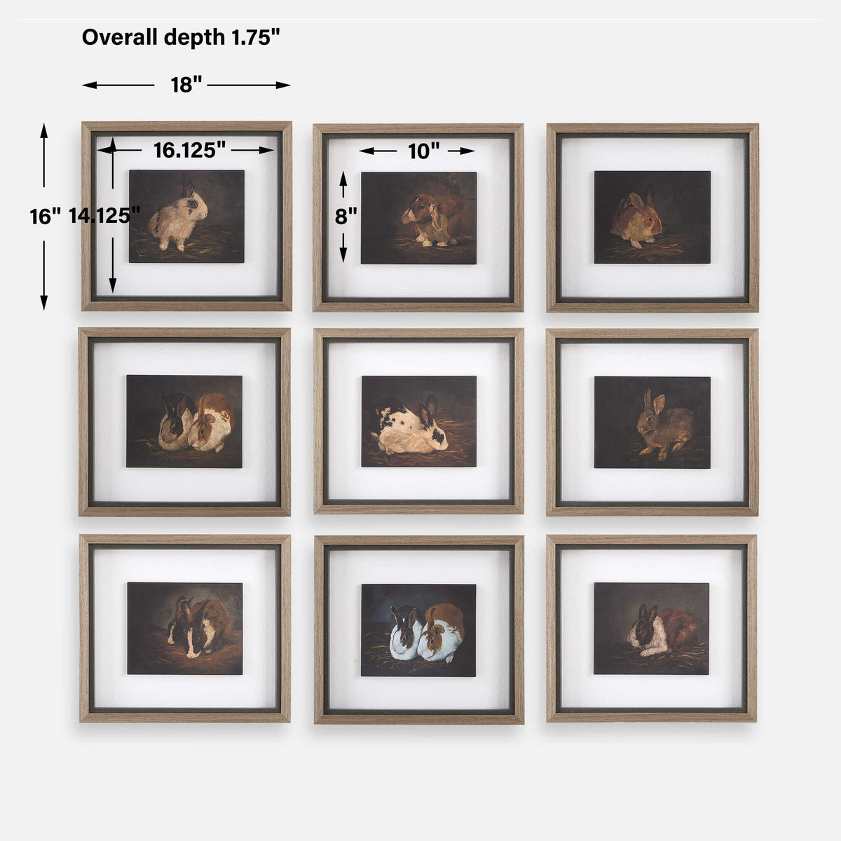 Resting Bunny Framed Prints Set/9