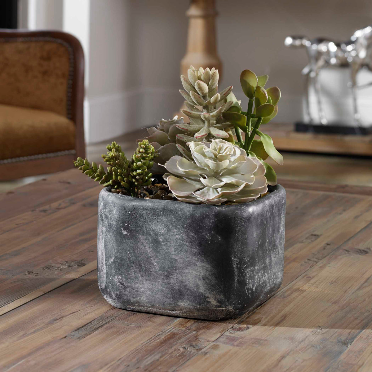 Alverio Desert Garden Succulents