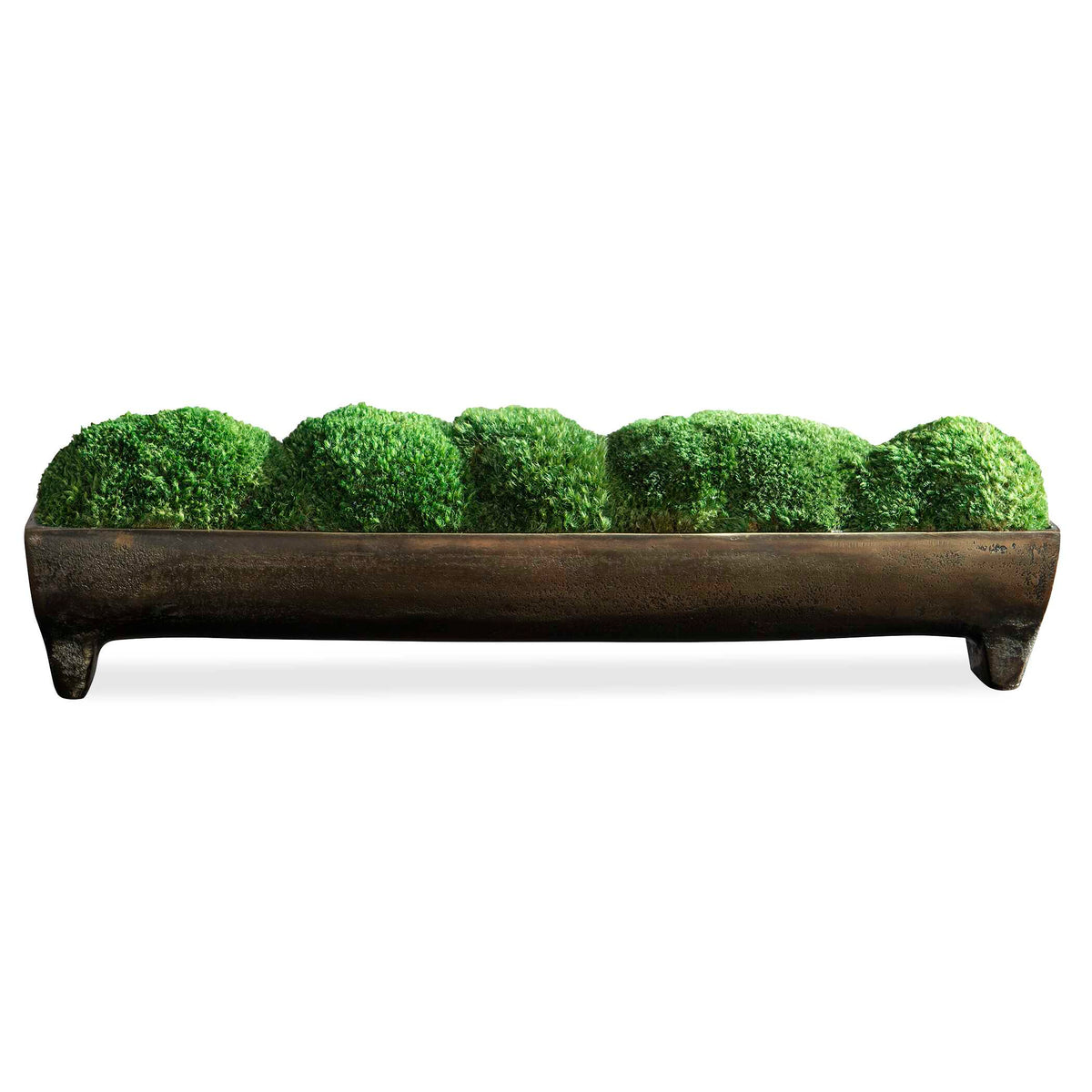 Canal Moss Centerpiece