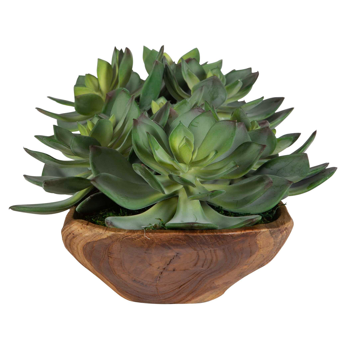 Yuma Succulent Centerpiece 27"