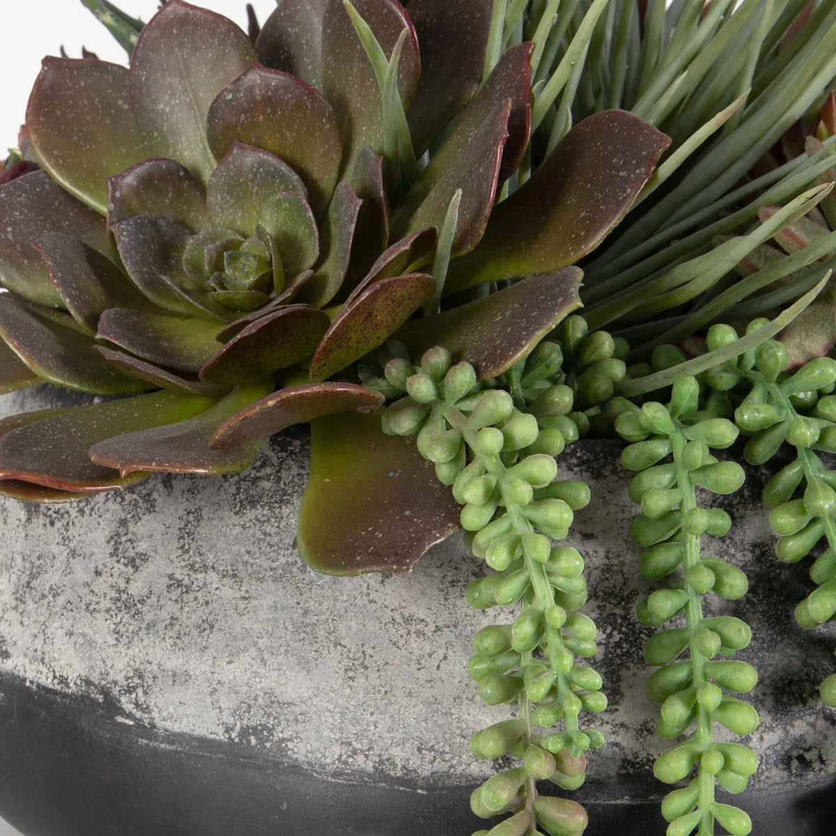 Yuma Succulent Centerpiece 15"