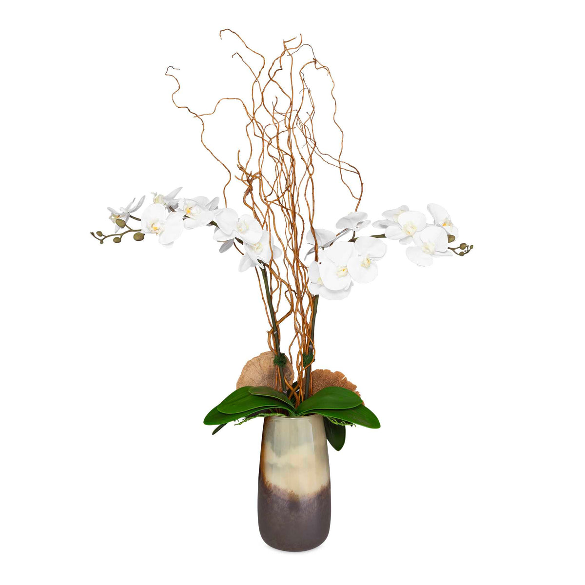 Earthbound Orchid With Vase
