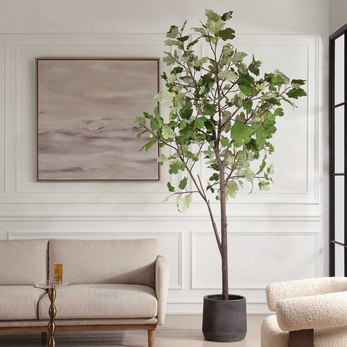 Eden Potted Fig Tree
