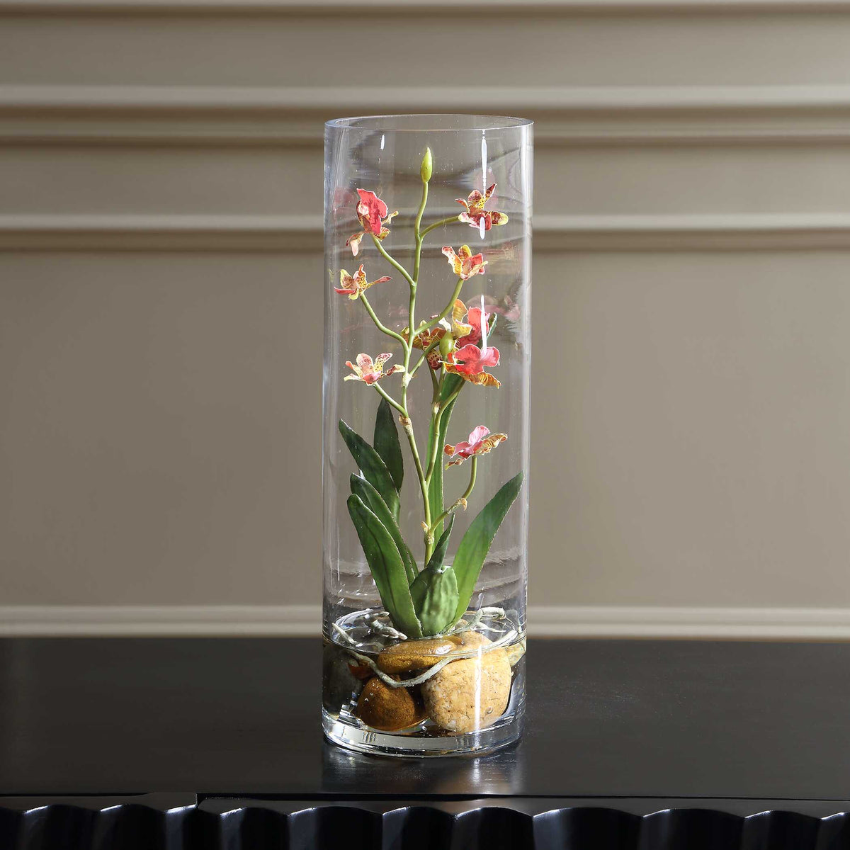Mariposa Orchid
