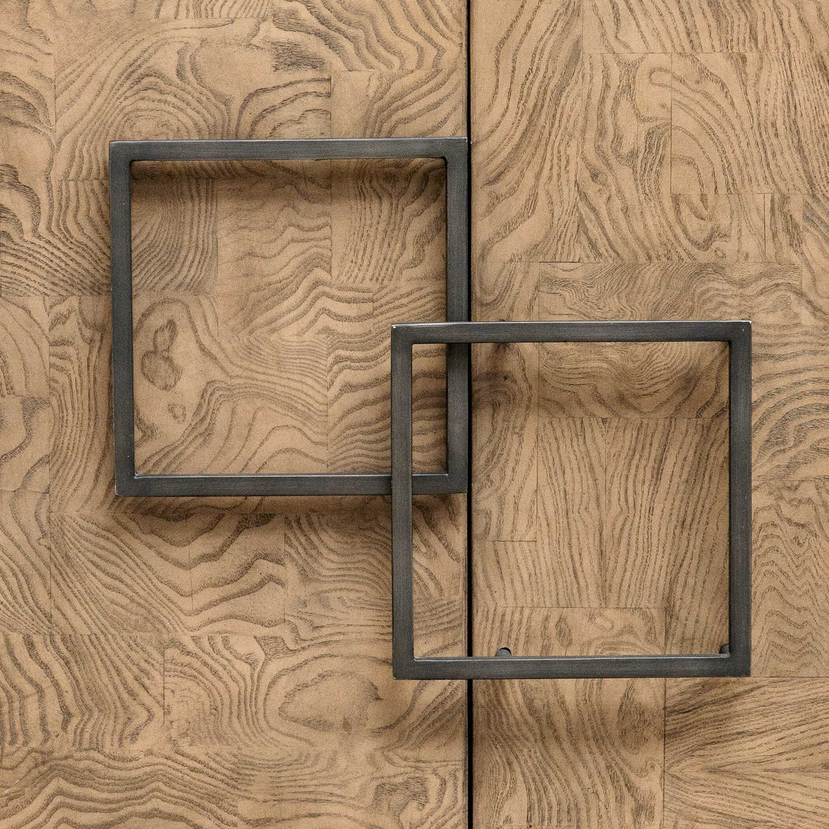 Paltrow Burl 2 Door Cabinet