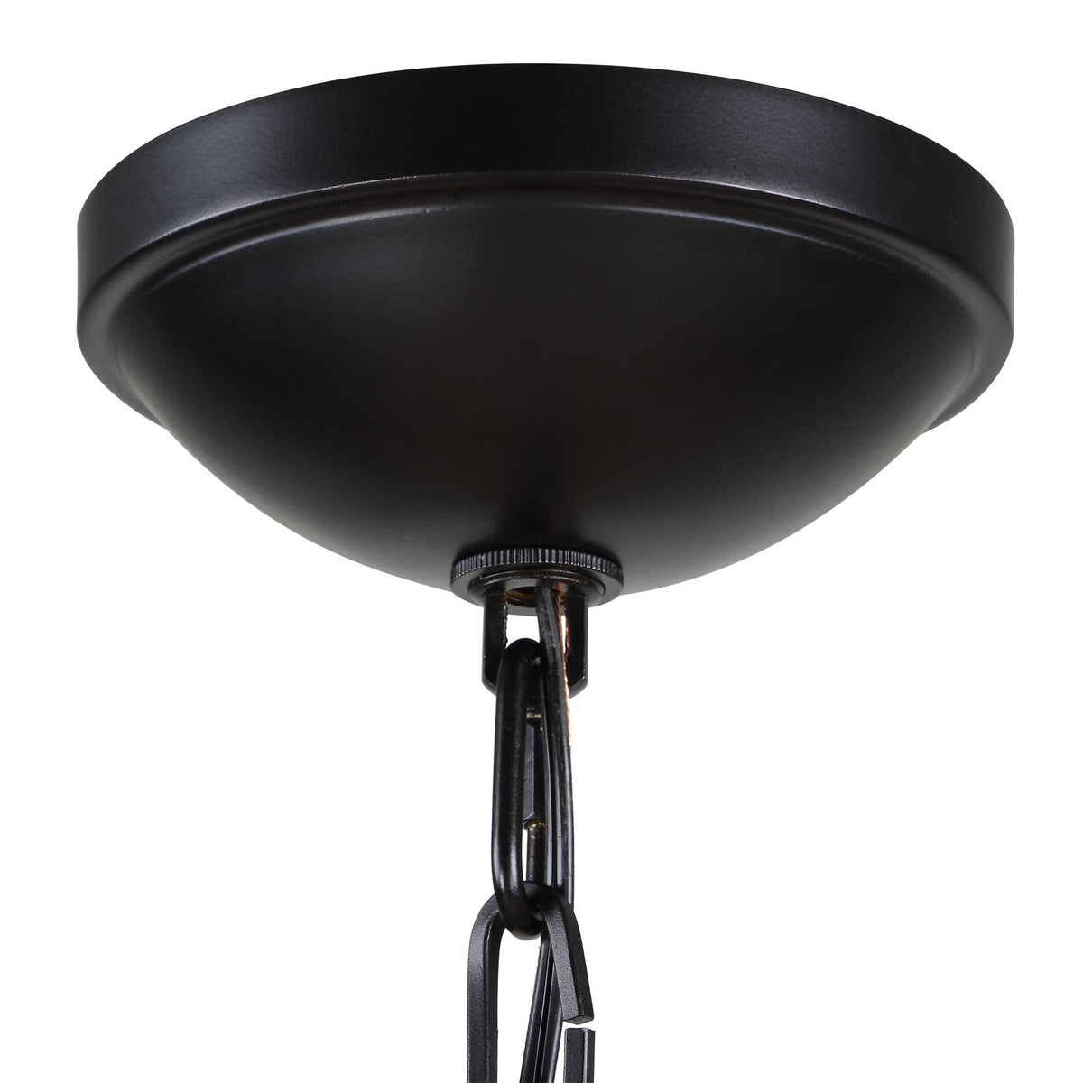 Lakeside Indoor-Outdoor 1 Light Pendant