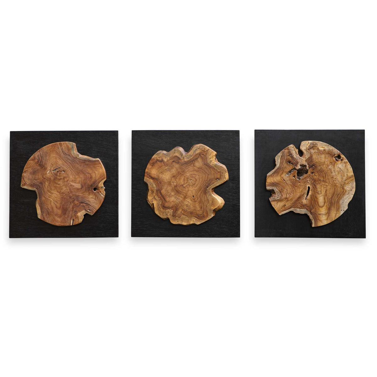 Kolini Teak Wood Wall Decor Set/3