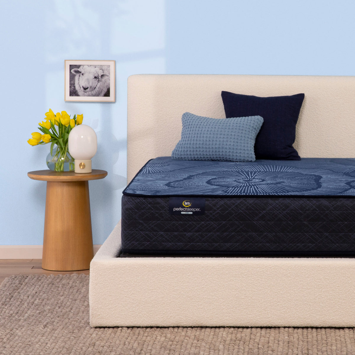 Perfect Sleeper Dazzling Night 12" Hybrid Medium Mattress