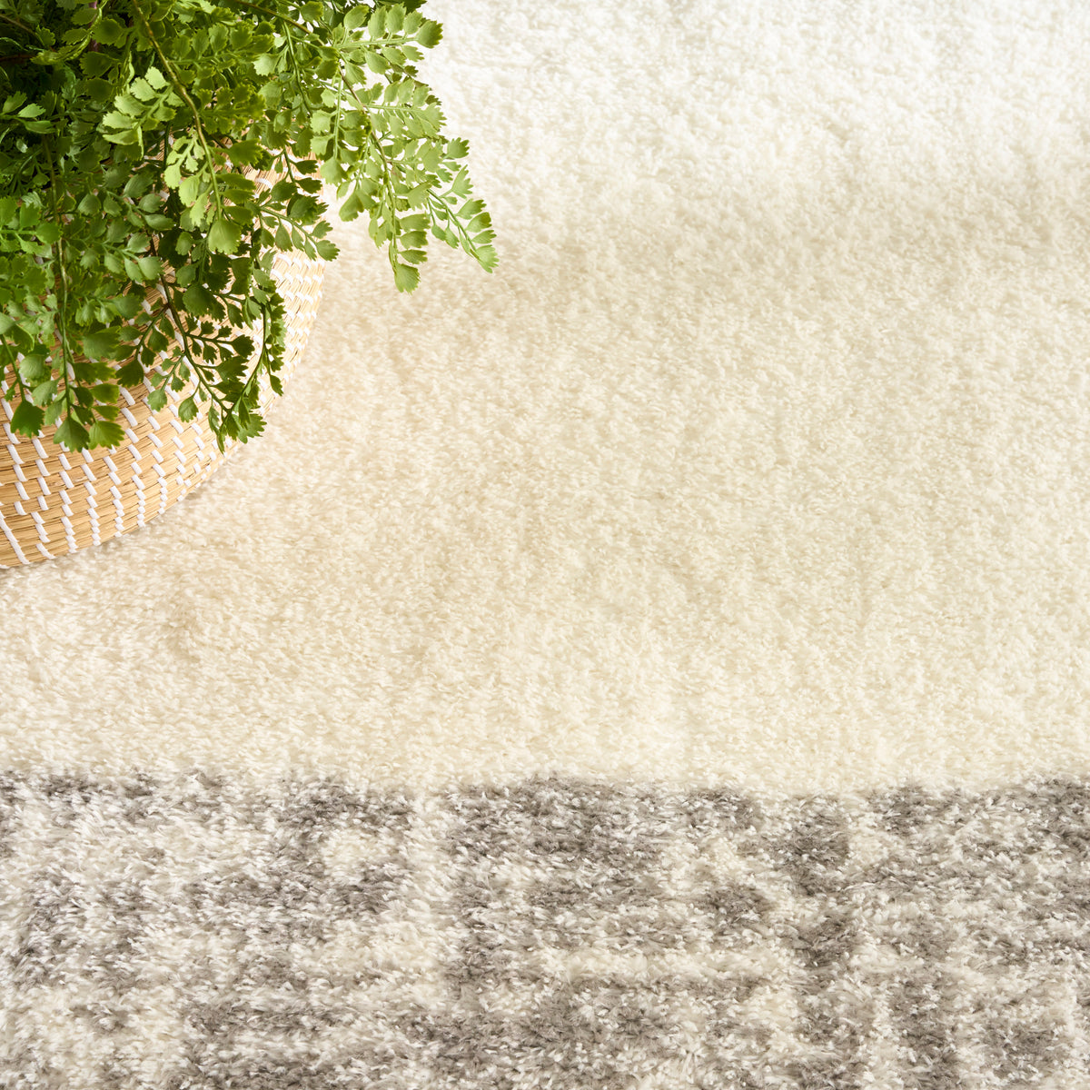 Pacific Shag PCS02 Ivory Grey Rug