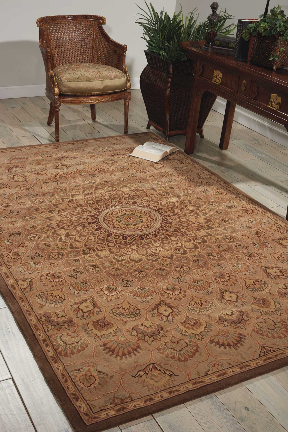 Nourison 2000 2262 Multicolor Rug