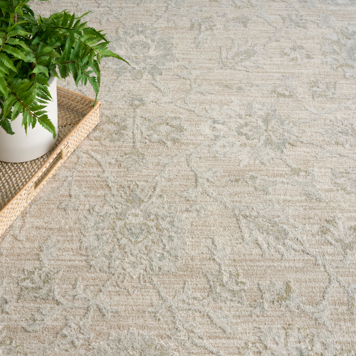 Envy EVV03 Cream Rug