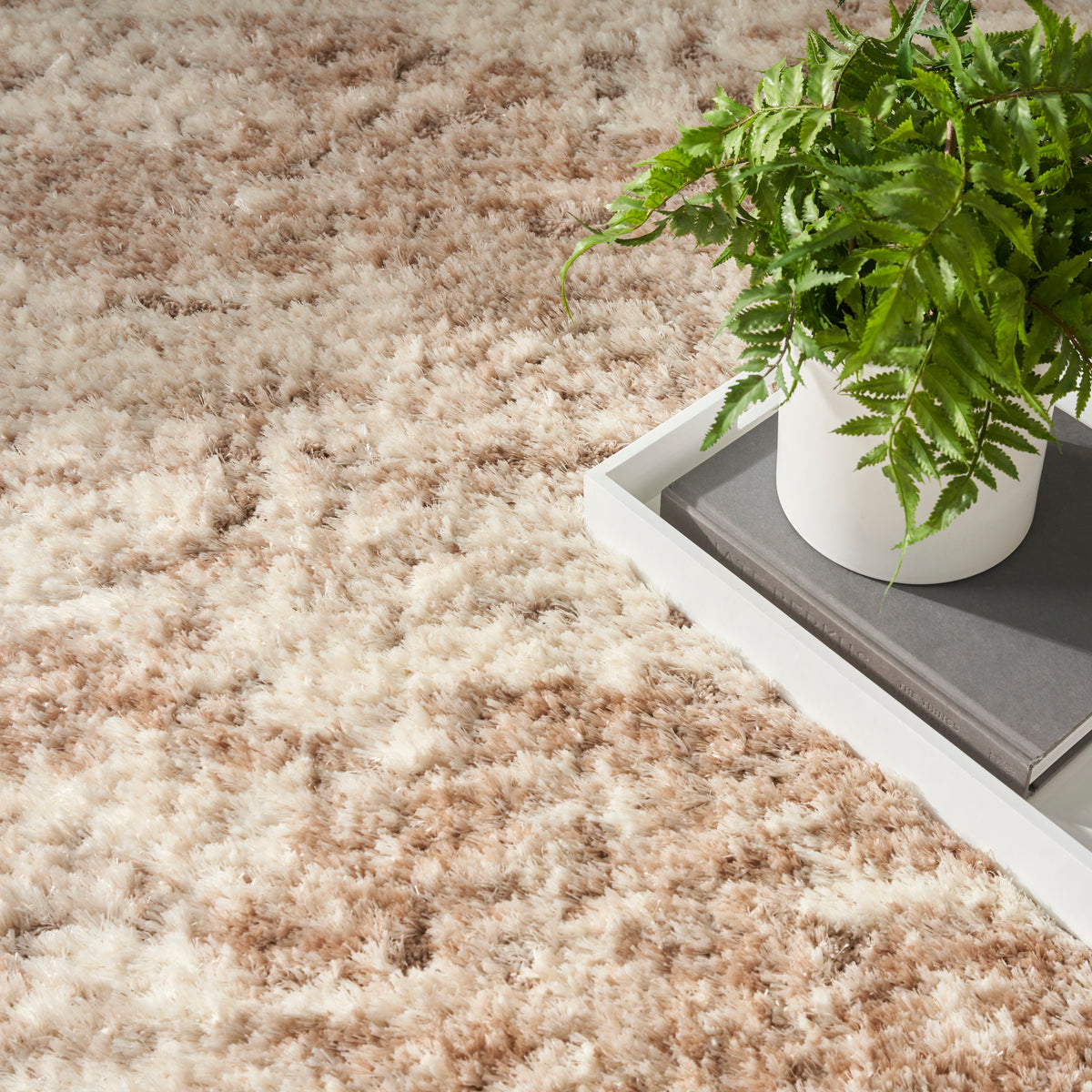 Dreamy Shag DRS10 Ivory Dark Beige Rug