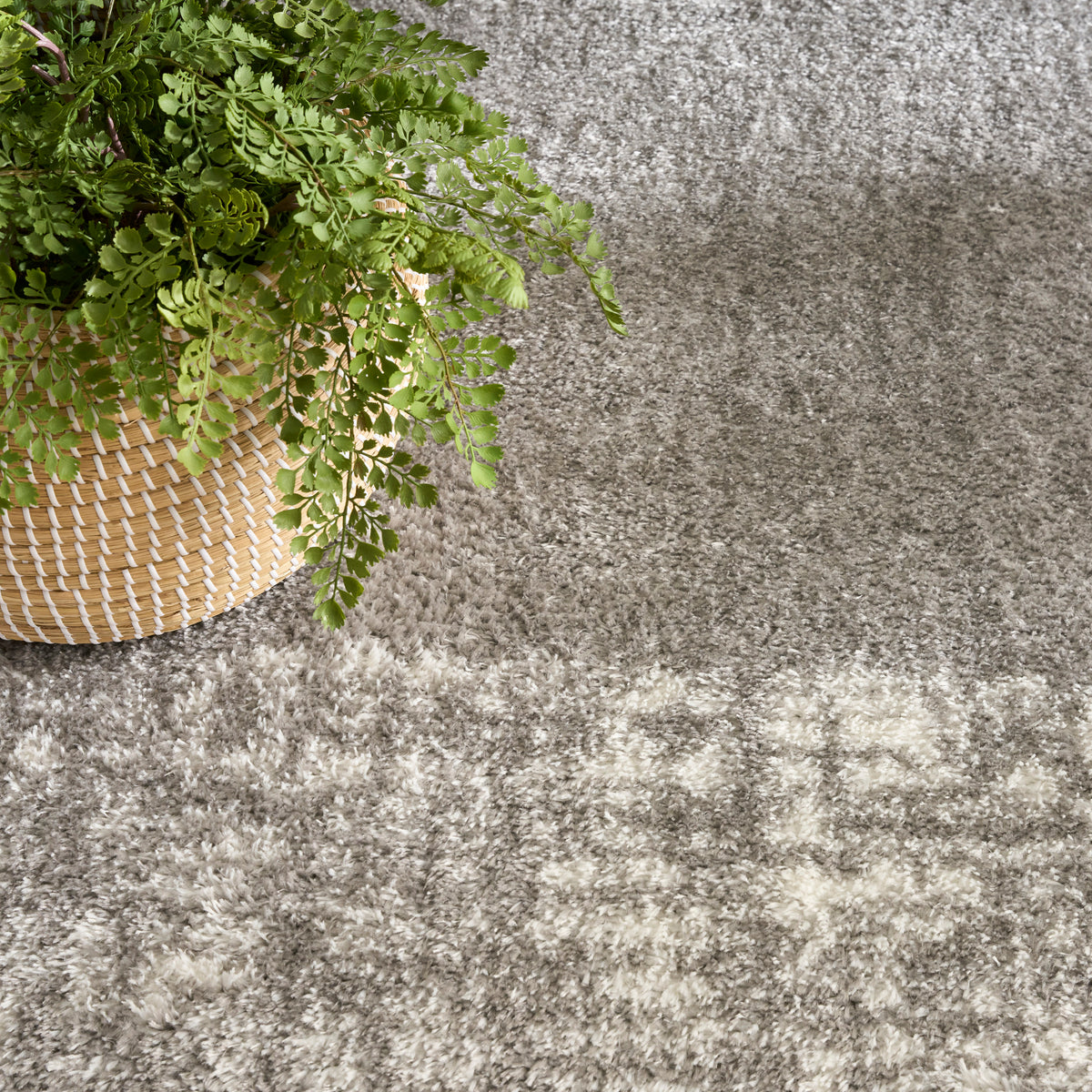 Pacific Shag PCS02 Grey Rug