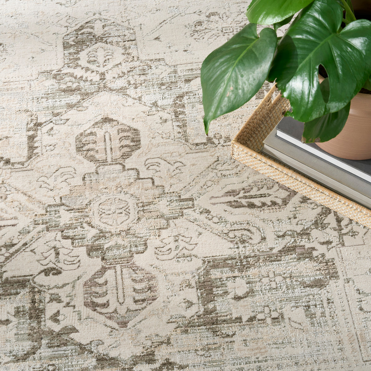 Soft Mist SMI03 Ivory Light Grey Rug