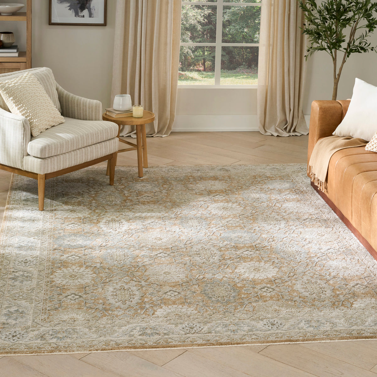 Envy EVV05 Mocha Rug