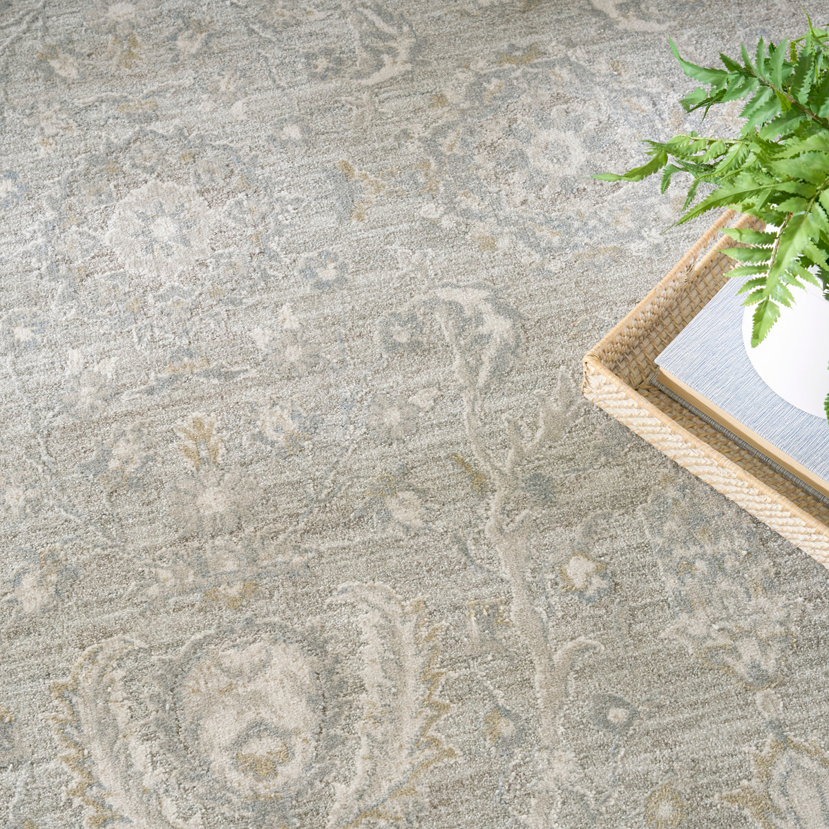 Envy EVV02 Grey Rug