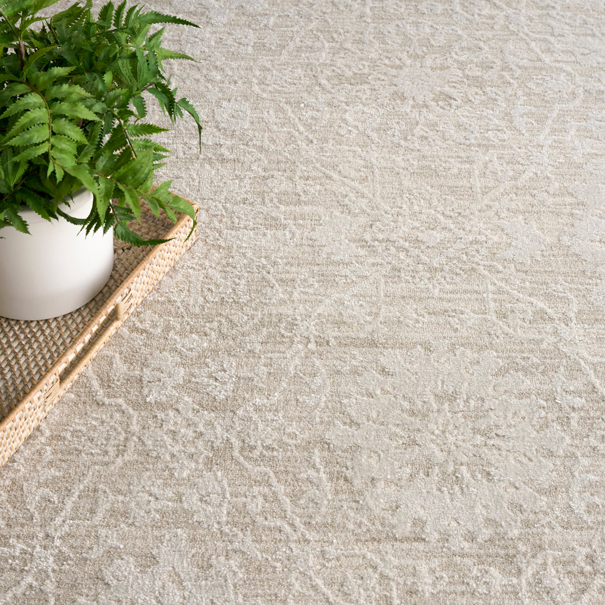 Envy EVV05 Cream Rug