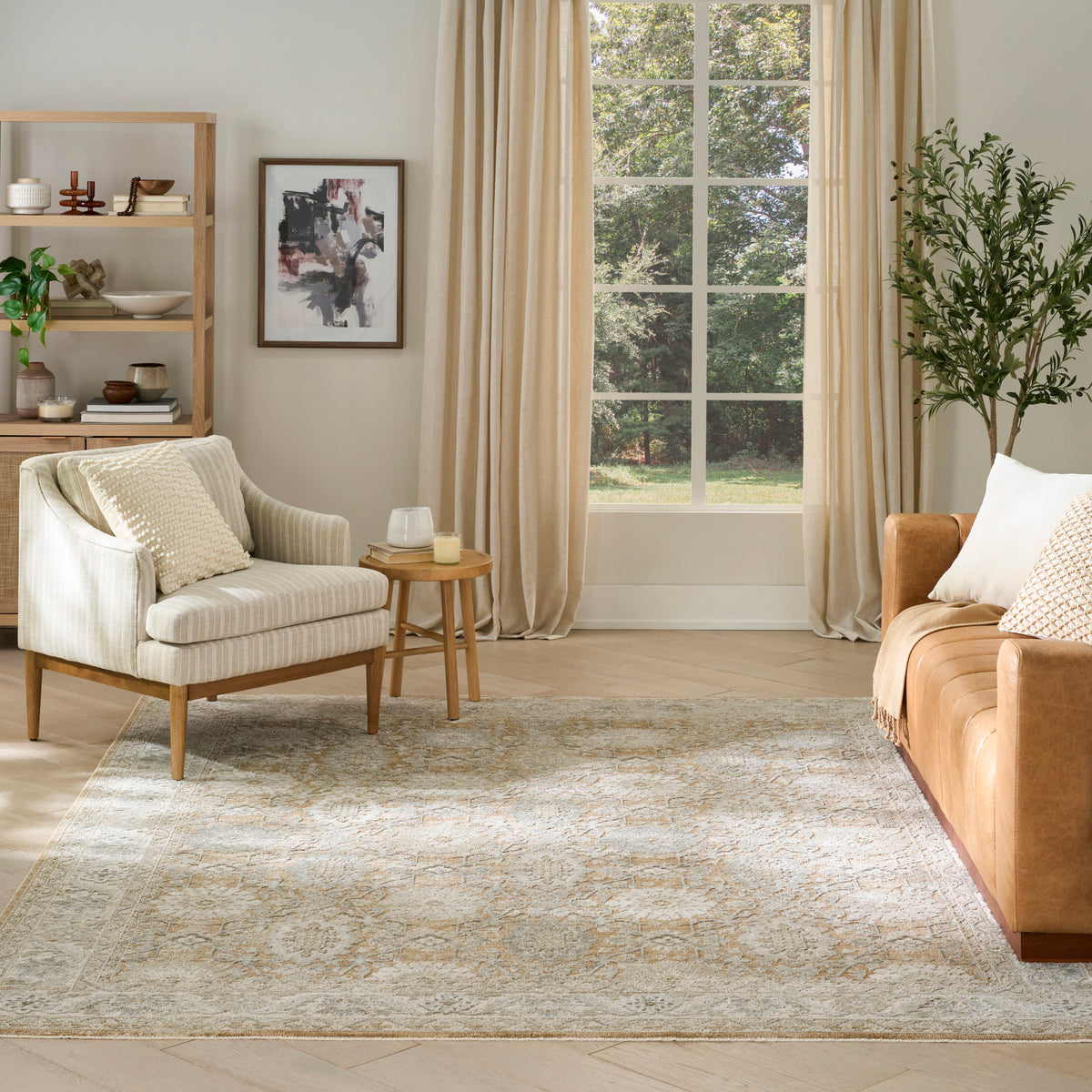 Envy EVV05 Mocha Rug