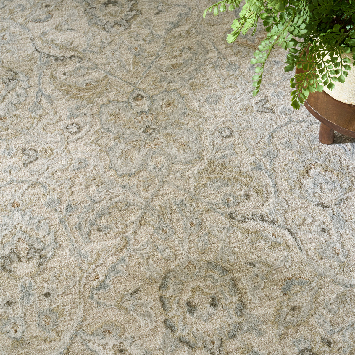 Envy EVV04 Taupe Rug