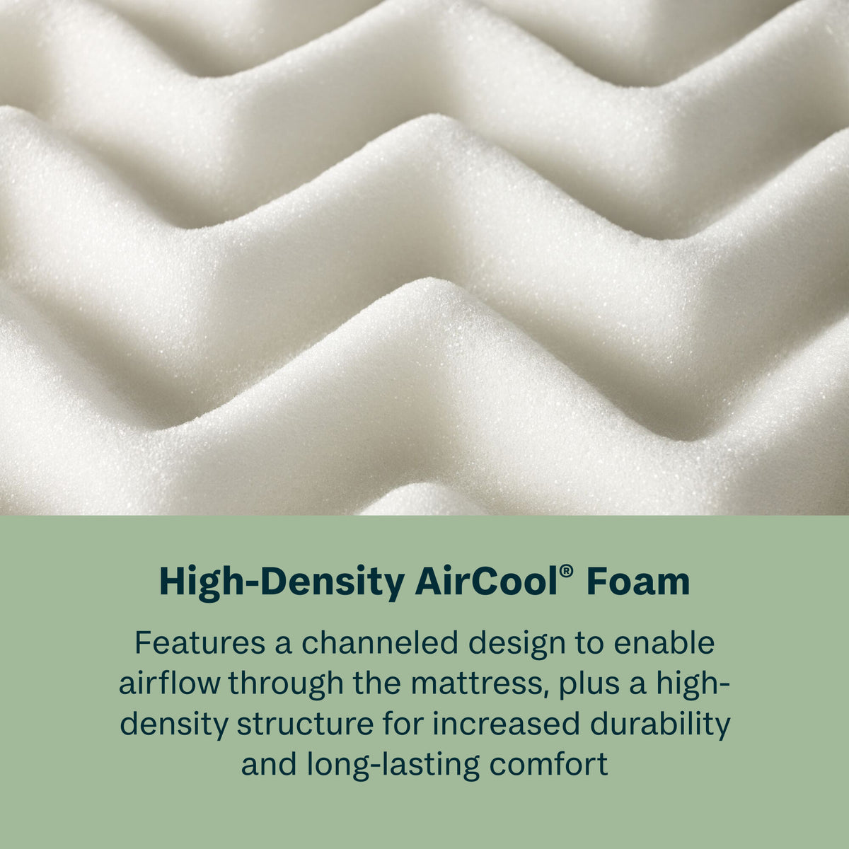 Slumber Time 10" Memory Foam Firm Mattress in a Box