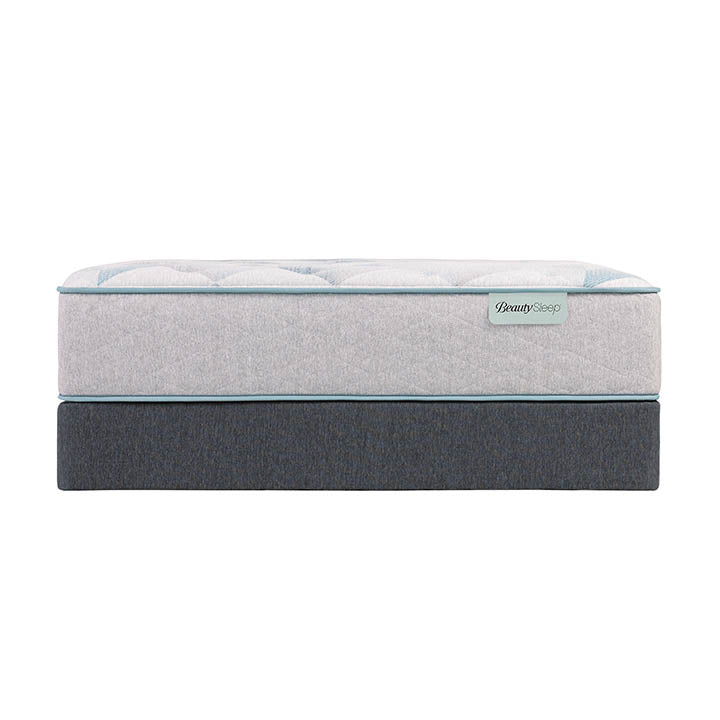 Dream Weaver 13.75" Plush Mattress