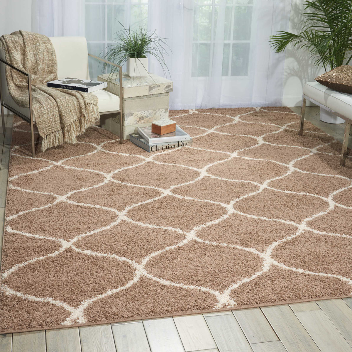 Windsor WIN01 Cappuccino Rug
