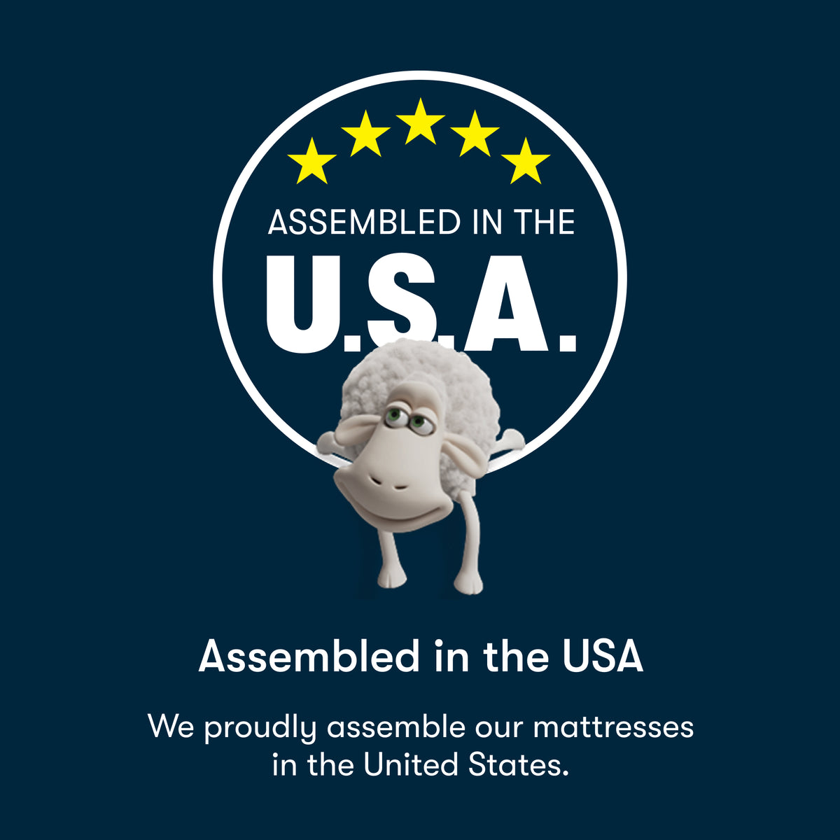 Five Star Mattress Sleep to Go 7" Firm Mattress in a Box