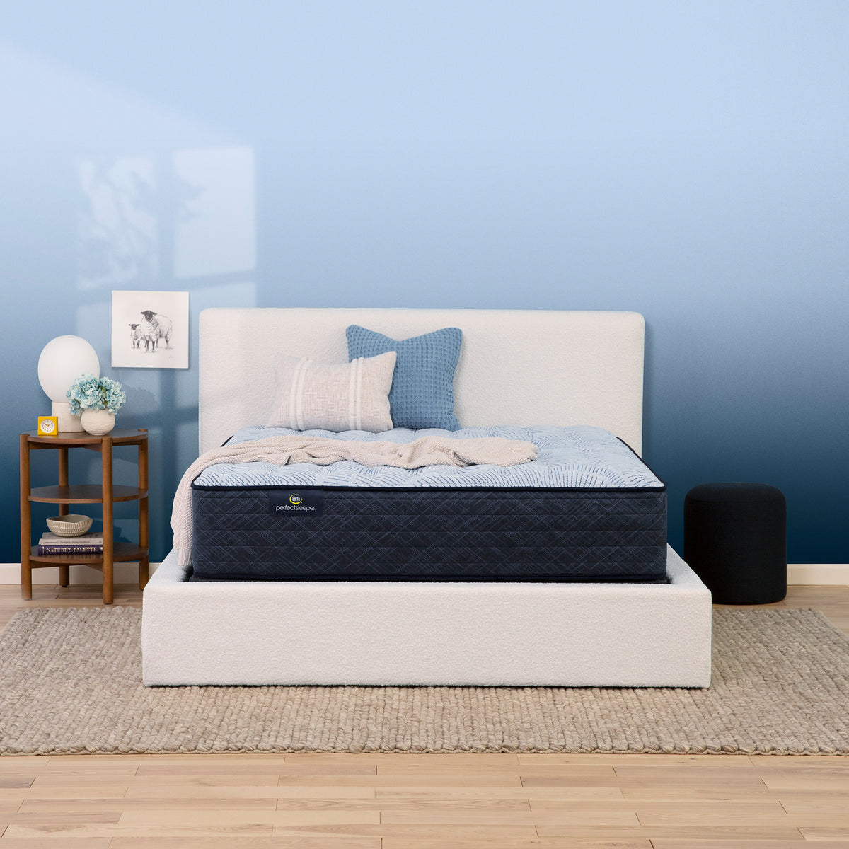 Perfect Sleeper Emi 13.5" Medium Mattress