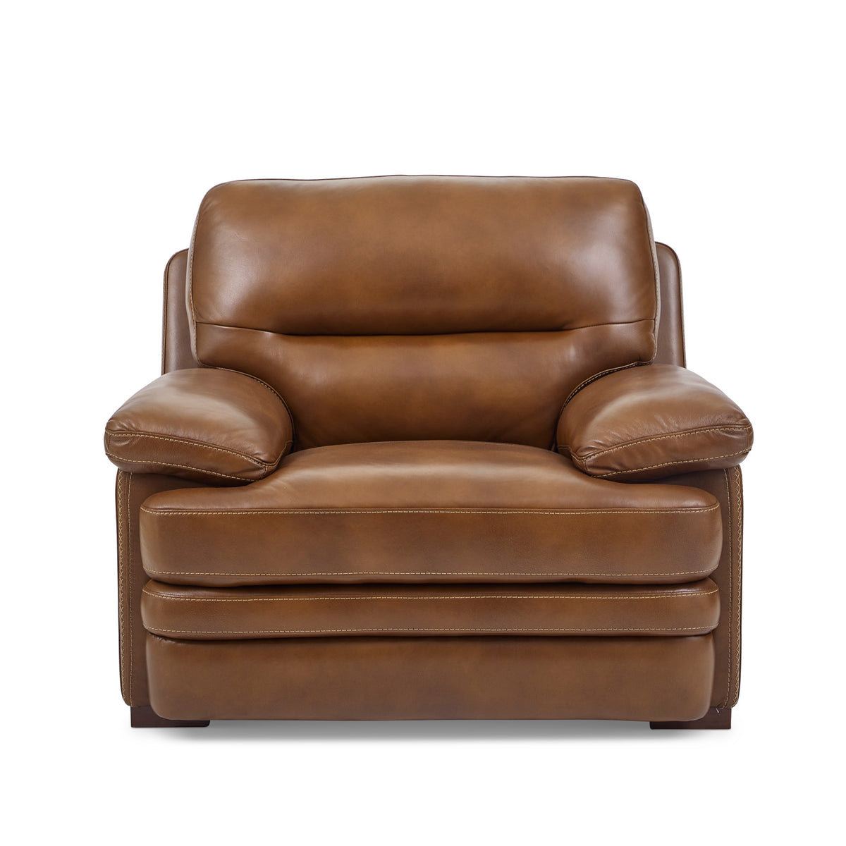 David Leather Chair