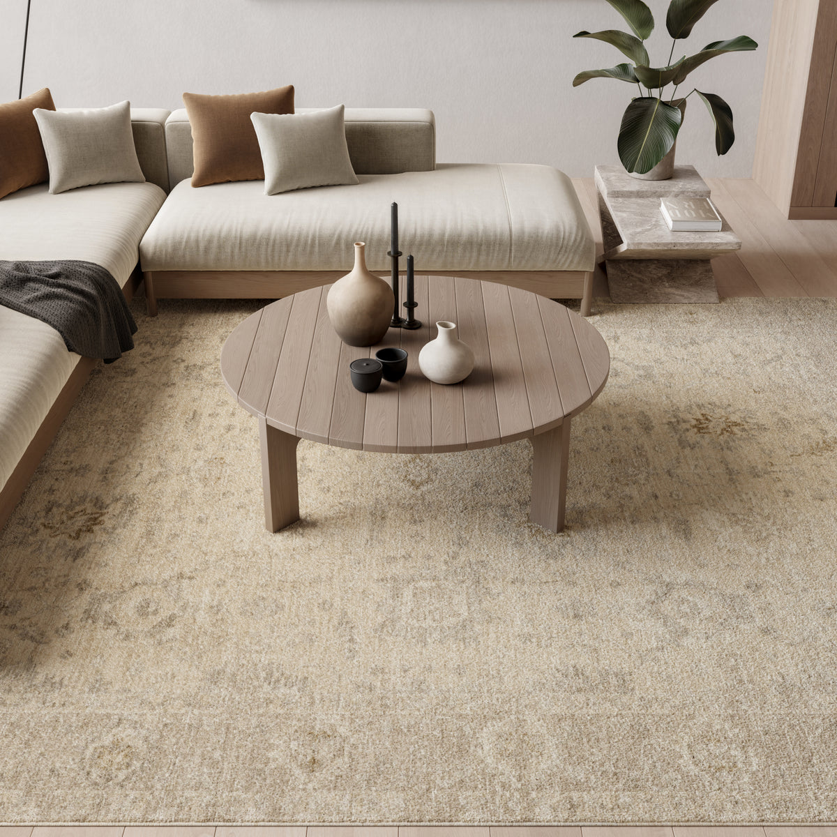 Moonlit MLI01 Ivory Grey Rug