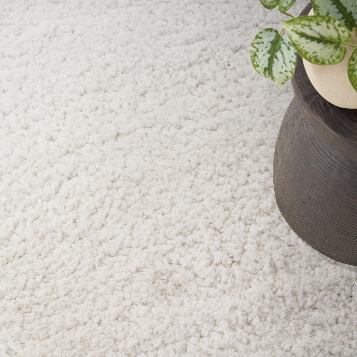 Modern Shag MMD02 Ivory Rug