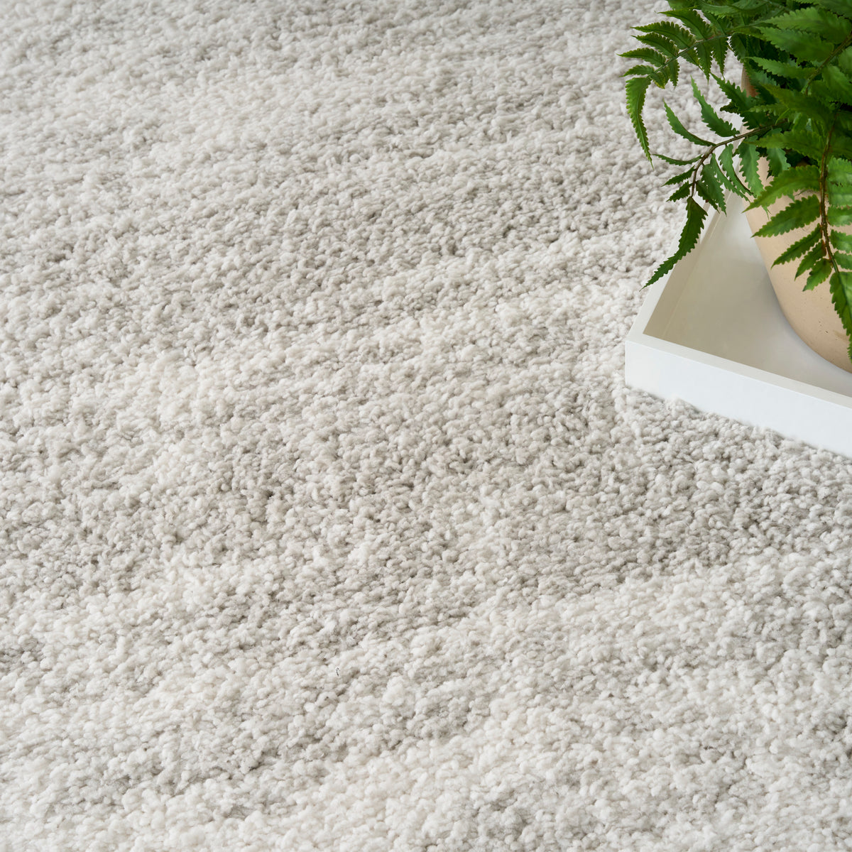 Modern Shag MMD04 Ivory Grey Rug