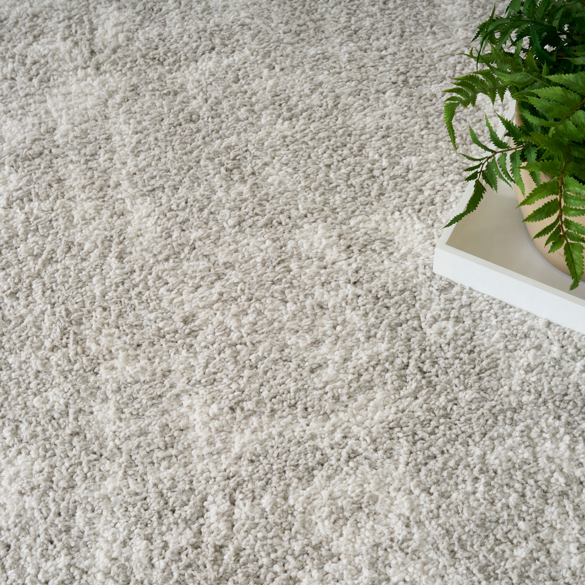 Modern Shag MMD06 Grey Ivory Rug