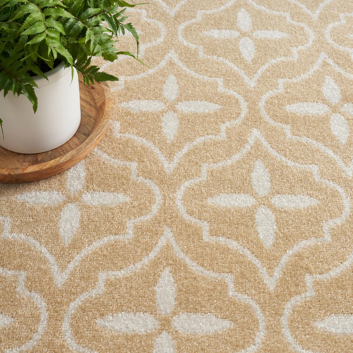 Nourison Essentials NRE04 Beige Ivory Rug