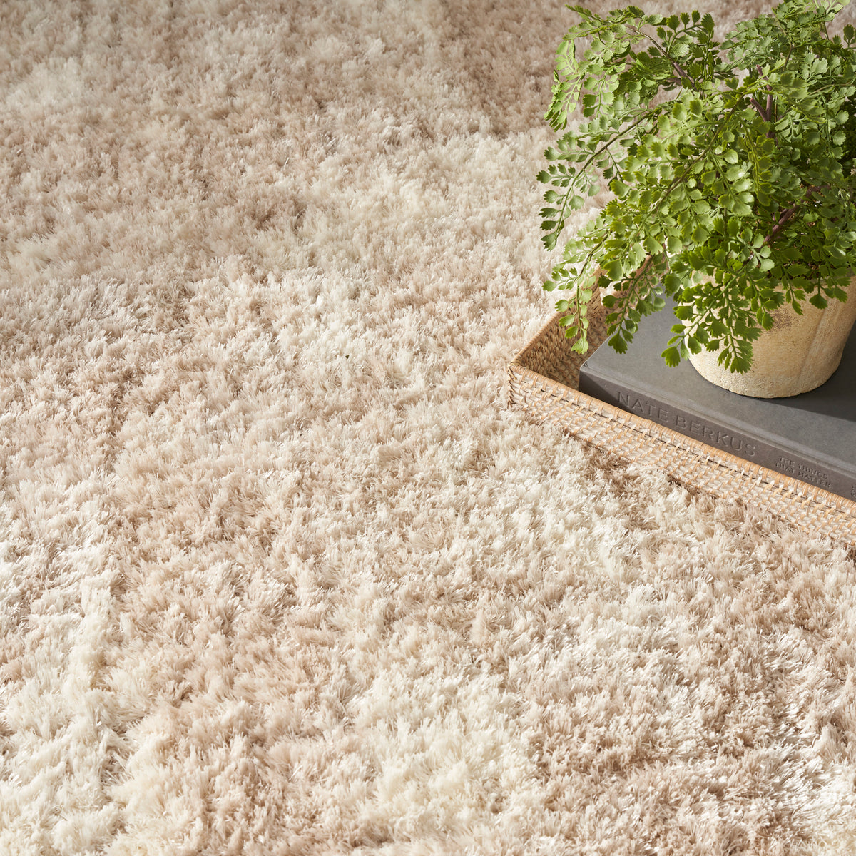 Dreamy Shag DRS01 Ivory Beige Rug