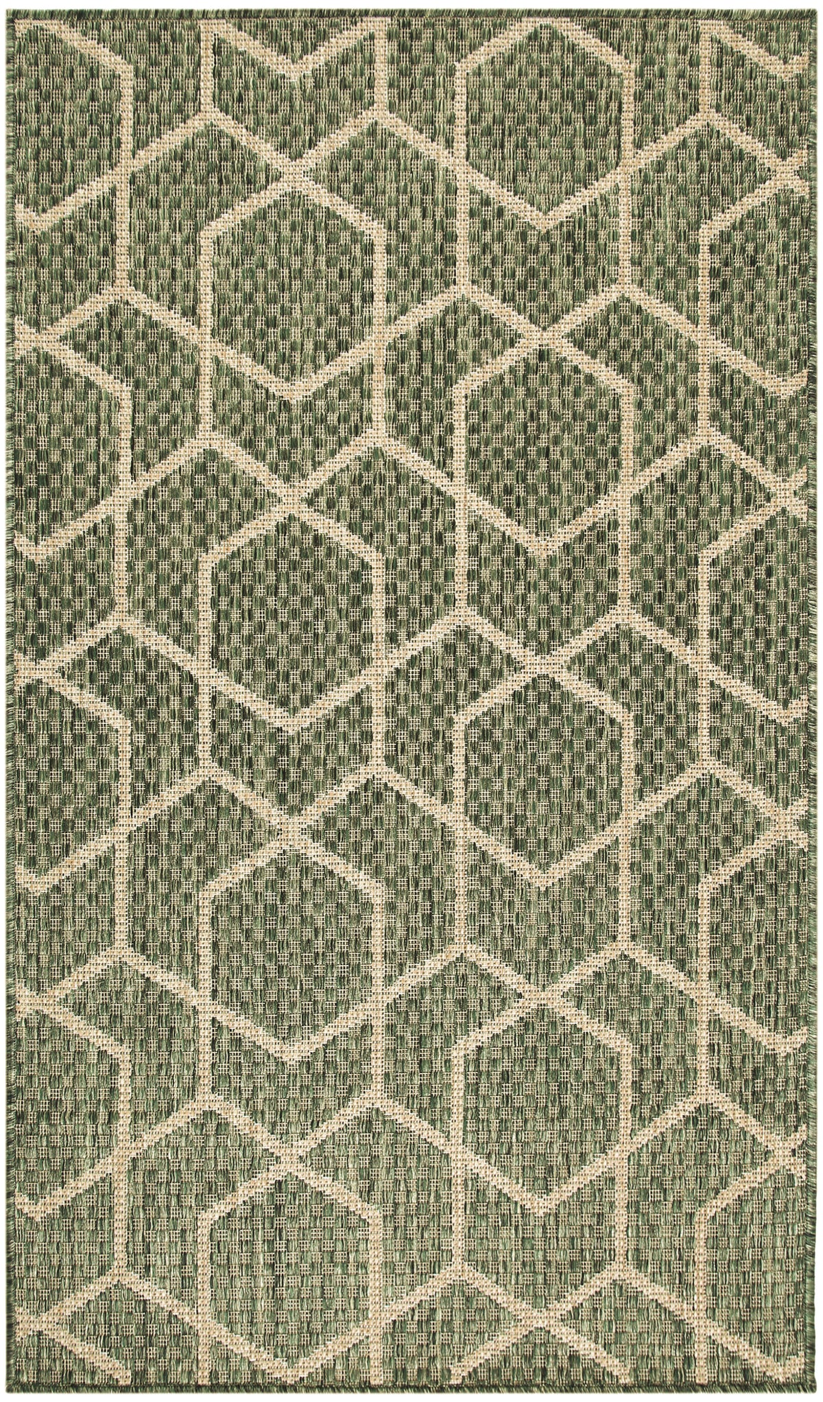 Horizon Indoor/Outdoor HOZ01 Green Rug